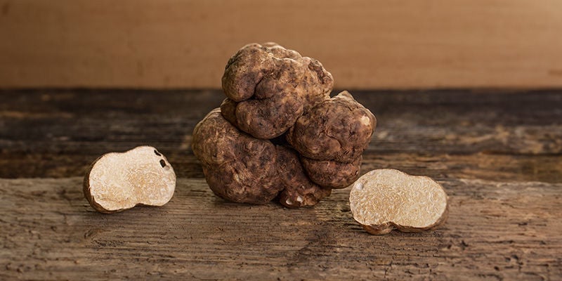 Take your truffles correctly