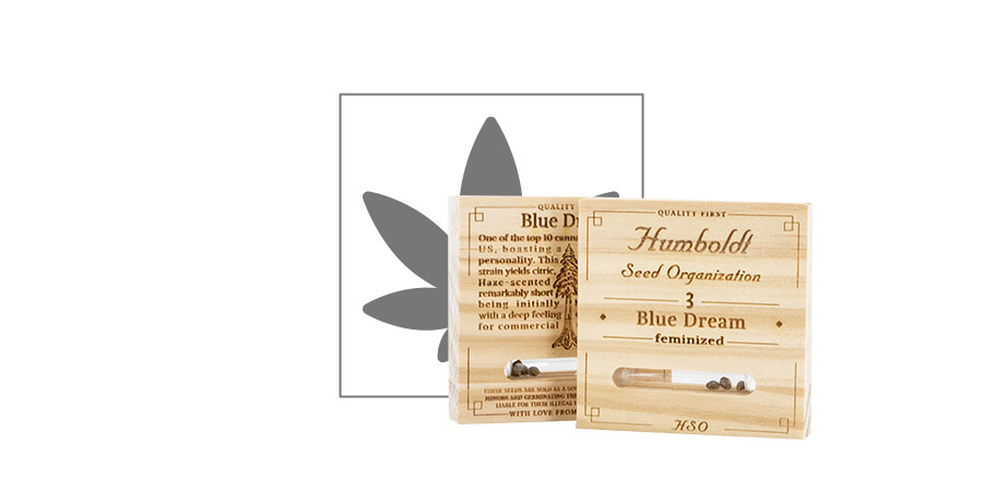 Blue Dream (Humboldt Seeds) 