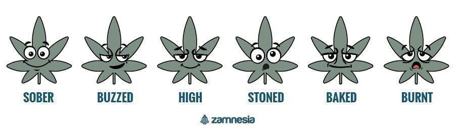 The Duration And Different Levels Of A Weed High - Zamnesia Blog