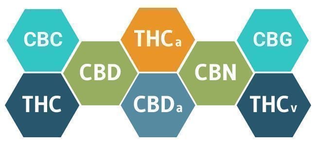 FULL-SPECTRUM OILS OR CBD ISOLATES