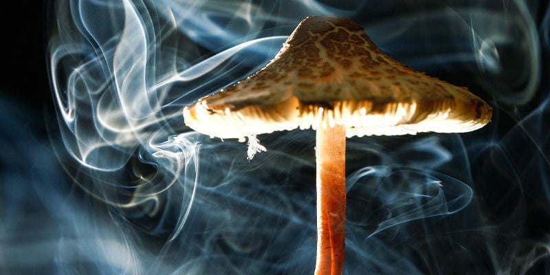 HOW TO SMOKE SHROOMS