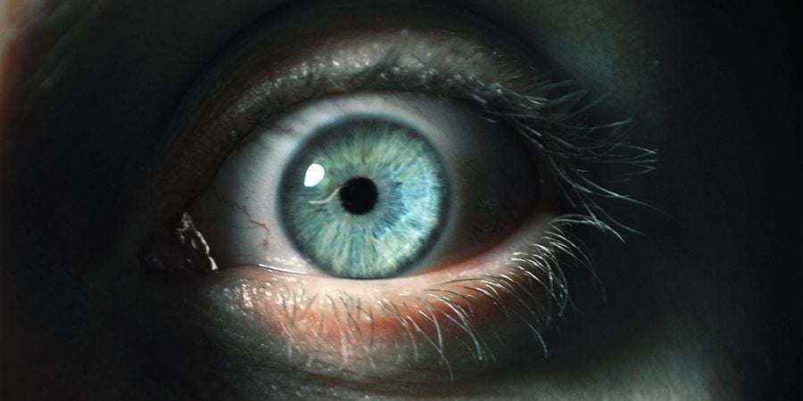The Best And Worst Types Of Cannabis Highs - Zamnesia Blog