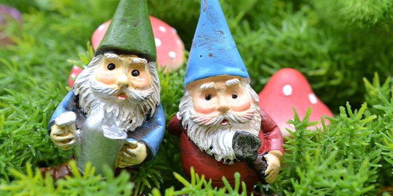 What do psychedelics have to do with Santa Claus and Christmas?