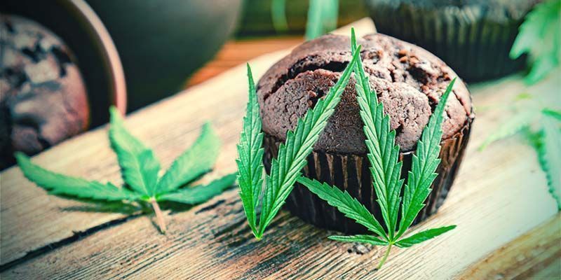 What Are The Pros And Cons Of Cannabis Edibles? - Zamnesia UK