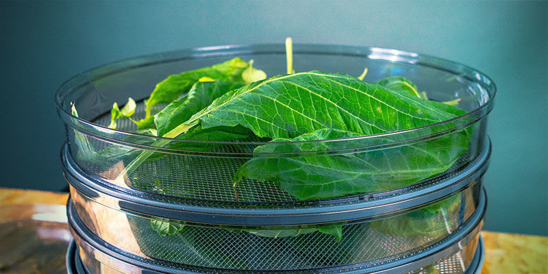 FOOD DEHYDRATOR