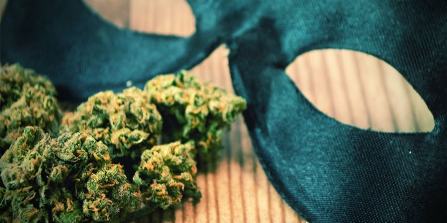 Create Your Own Cannabis-related Halloween Costume