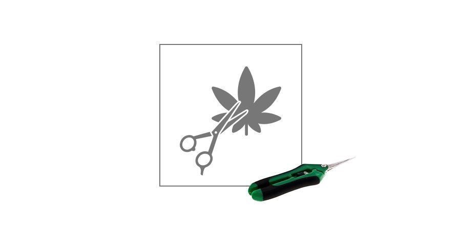 Professional Cannabis Pruning Shears