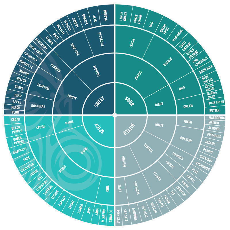 CBD And Terpenes — The Journey Beyond THC