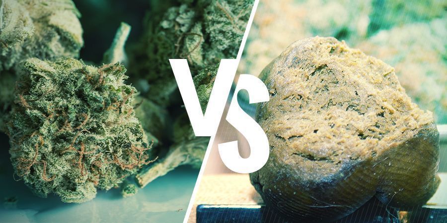 BUD VS HASH