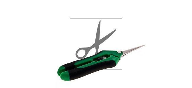 Pruning shears