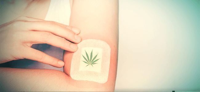 Cannabis Topicals And Cosmetics
