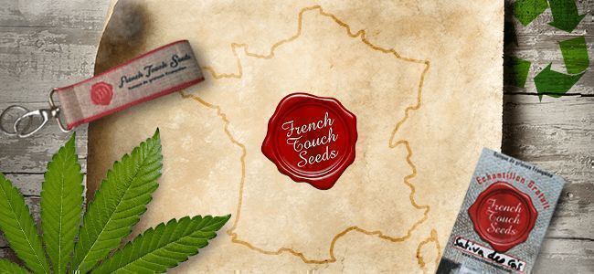 SEEDBANK OF THE MONTH: FRENCH TOUCH SEEDS