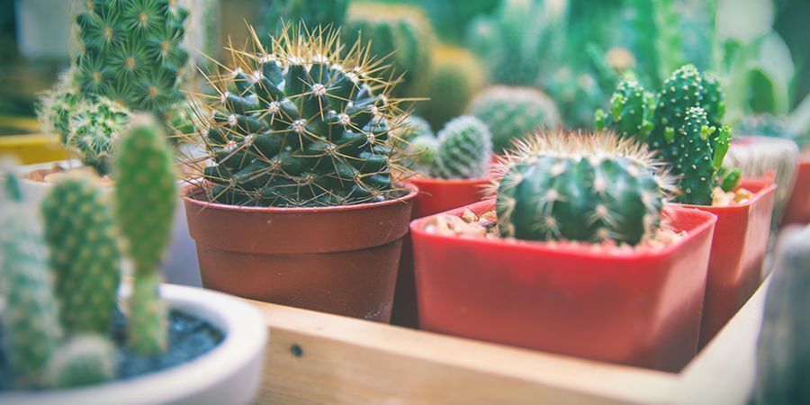 Pick The Right Container 