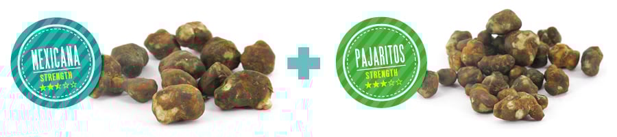 WHAT MAKES OUR MAGIC TRUFFLE “DYNAMIC DUO” SPECIAL?