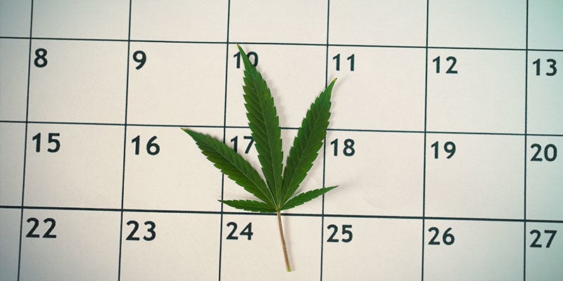 Preparing For A Drug Test
