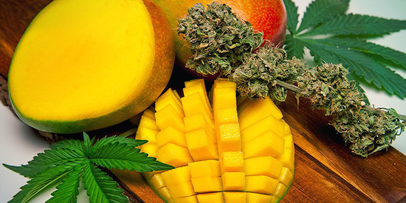 Take Your Cannabis With A Side Of Mangoes