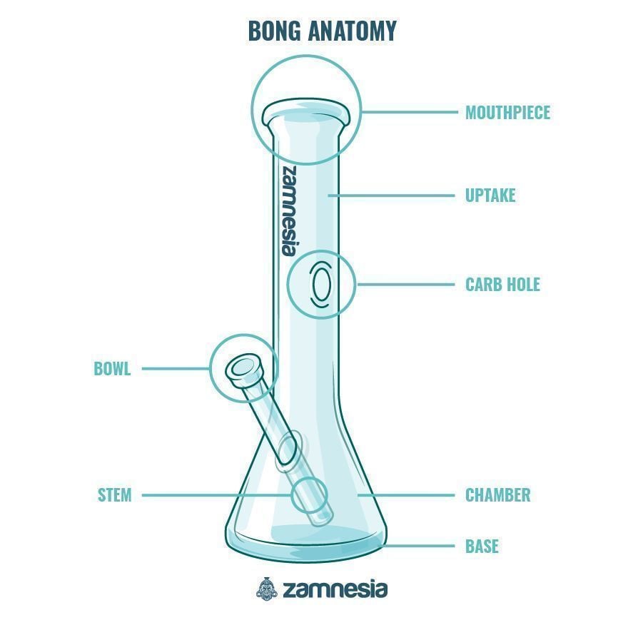 Anatomy Of A Bong