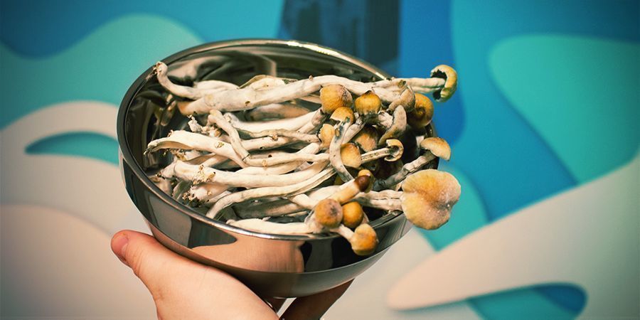 GROWING MAGIC MUSHROOMS WITH A GROW KIT