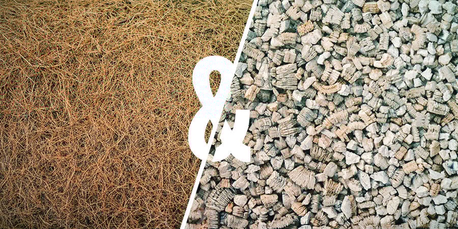 COCO COIR AND VERMICULITE Magic Mushroom Substrates