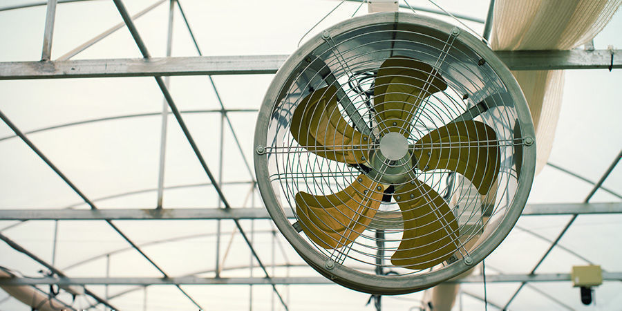 Dehumidifiers for cannabis