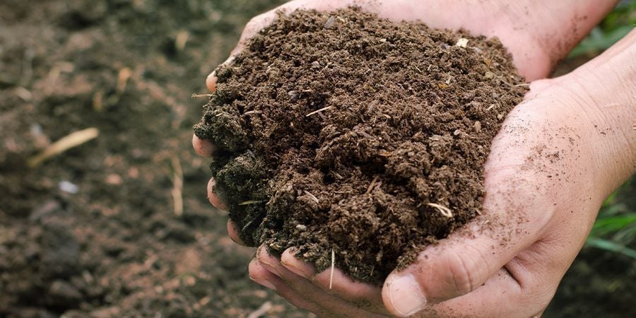 Dry And Fibrous Compost