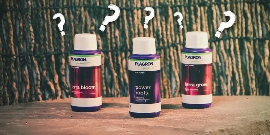 Which Type Of Nutrient To Choose?