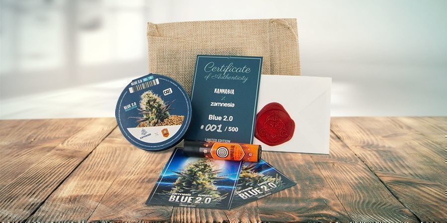 Blue 2.0 Feminized (Kannabia Seed Company & Zamnesia)