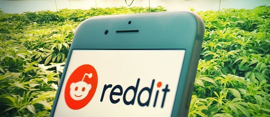 Why and How Stoners Can Use Reddit as a Resource for Weed Information