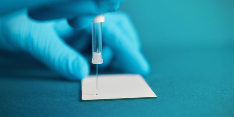 Alpha-Cat Cannabinoid Test Mini Kit: Drop the liquid sample mixture into a test plate
