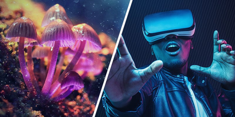 Psychedelics and VR: Parallels