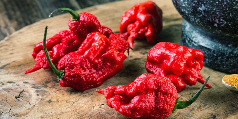 Hottest Peppers: Komodo Dragon