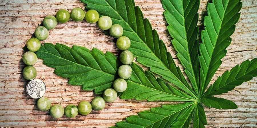 Hemp is Hip: a Plant With a Million Uses