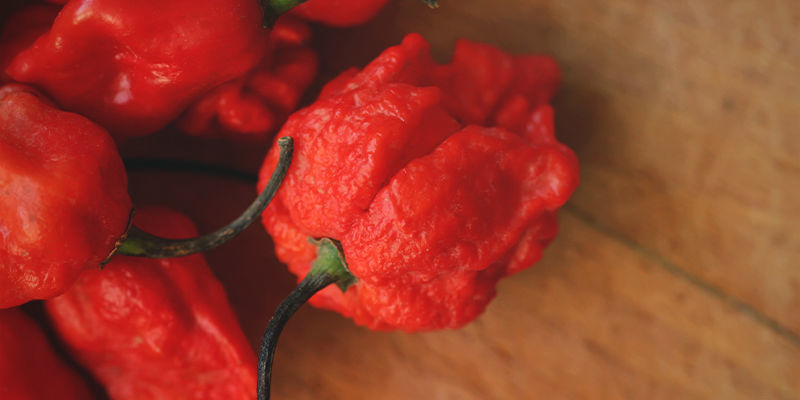 Are You Ready For Carolina Reaper?