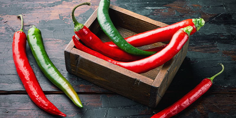 What Is A Chilli?