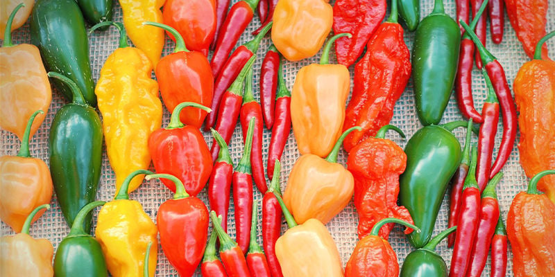Which hot peppers are best for you?