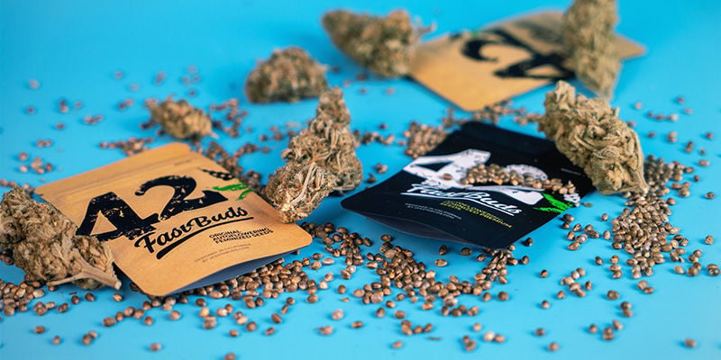 FastBuds' flagship autoflowering seeds
