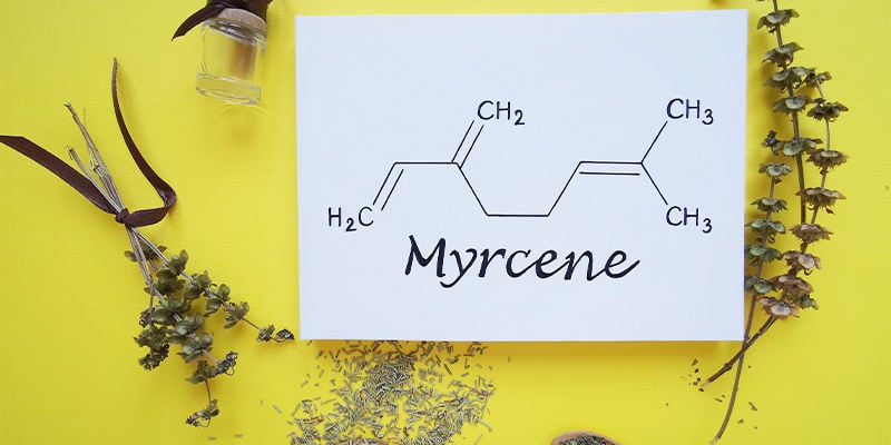 Make Myrcene A Part Of Your Life