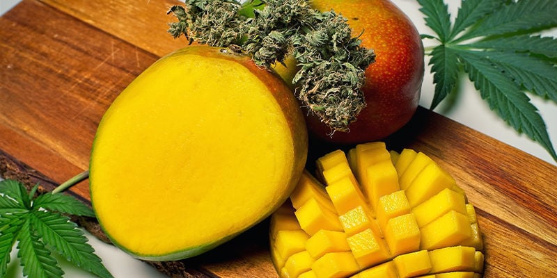 What Is Myrcene