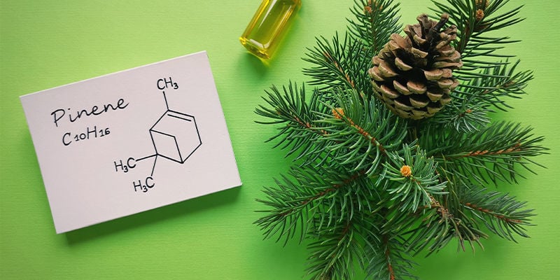 What Is The Chemical Structure Of Pinene?