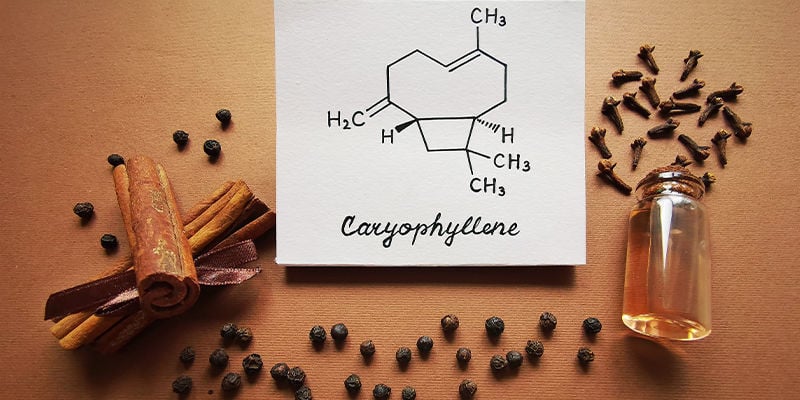 Caryophyllene: Summary