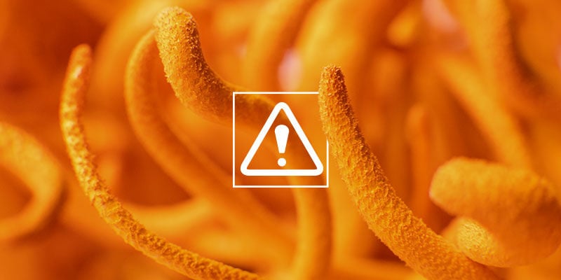 Is Cordyceps Dangerous?