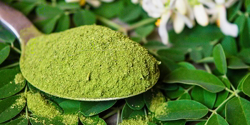 Get More Out Of Moringa Today