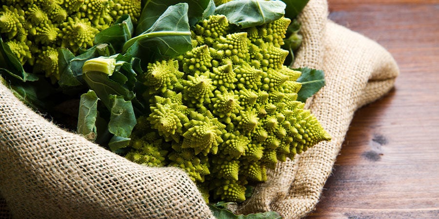 Romanesco Broccoli