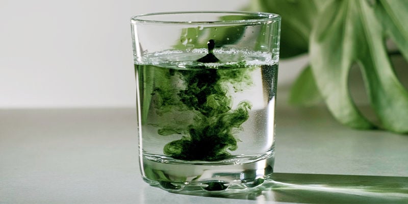 Chlorella: A Great Addition To Any Healthy Diet