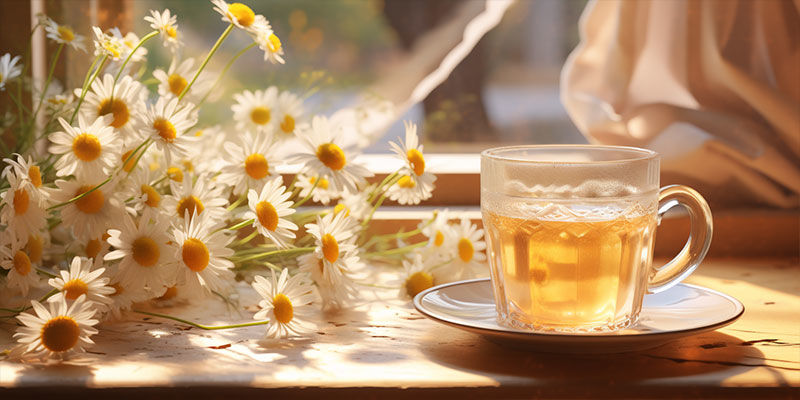 Chamomile