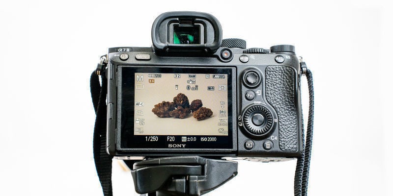 7 tips for high-quality cannabis photos