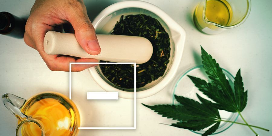 Disadvantages Of Cannabis-Infused Olive Oil