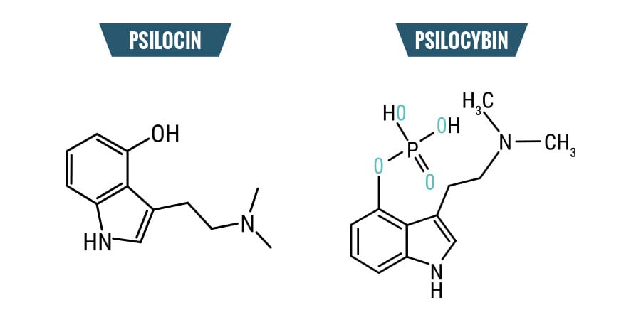 Chemical structure of magic mushrooms