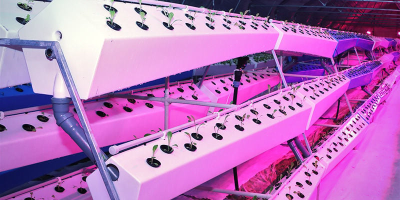 Different Types of Aeroponic Systems