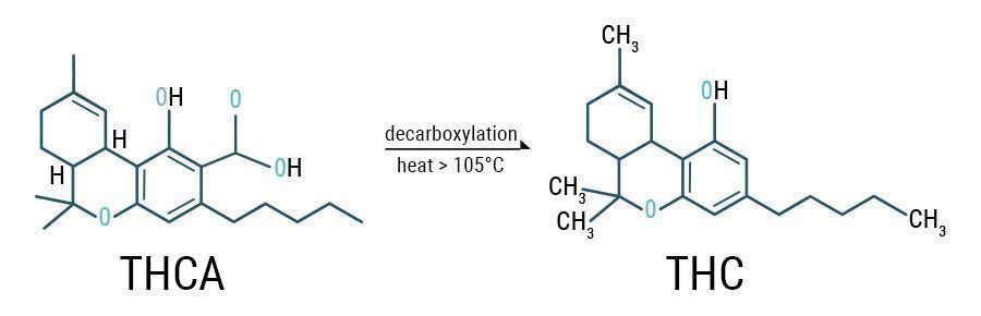 Decarboxylation THCA & THC